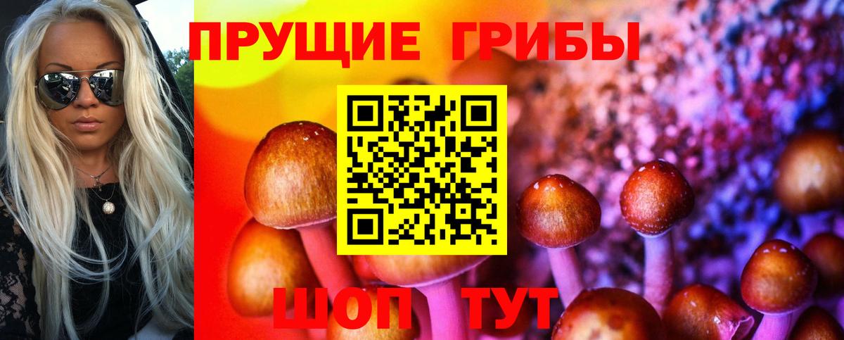 Псилоцибиновые грибы мицелий  Вход с VPN  Галлюциногенные грибы MAGIC MUSHROOMS  Мурманск 