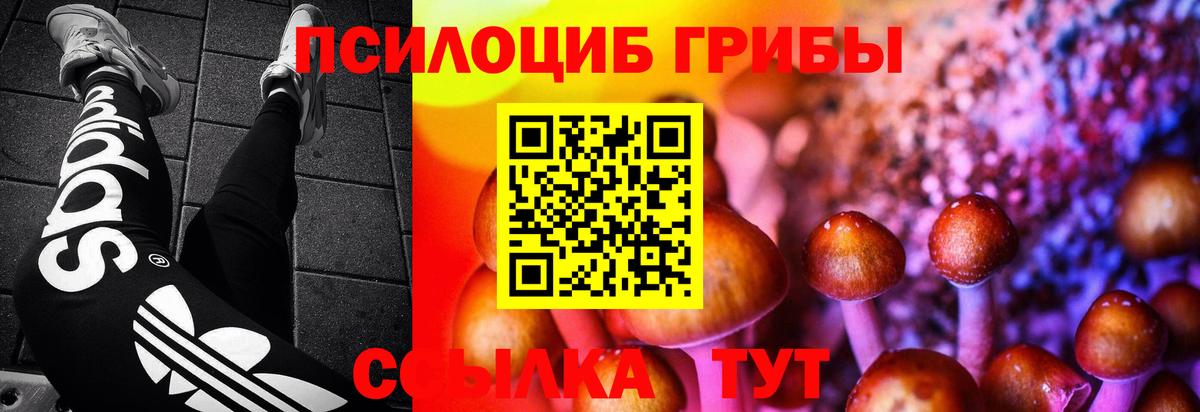 Псилоцибиновые грибы мухоморы Мурманск